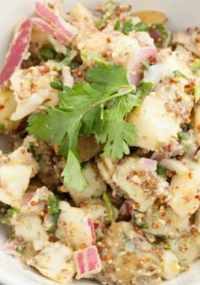 Kitty’s Best German Potato Salad with Bison Bits